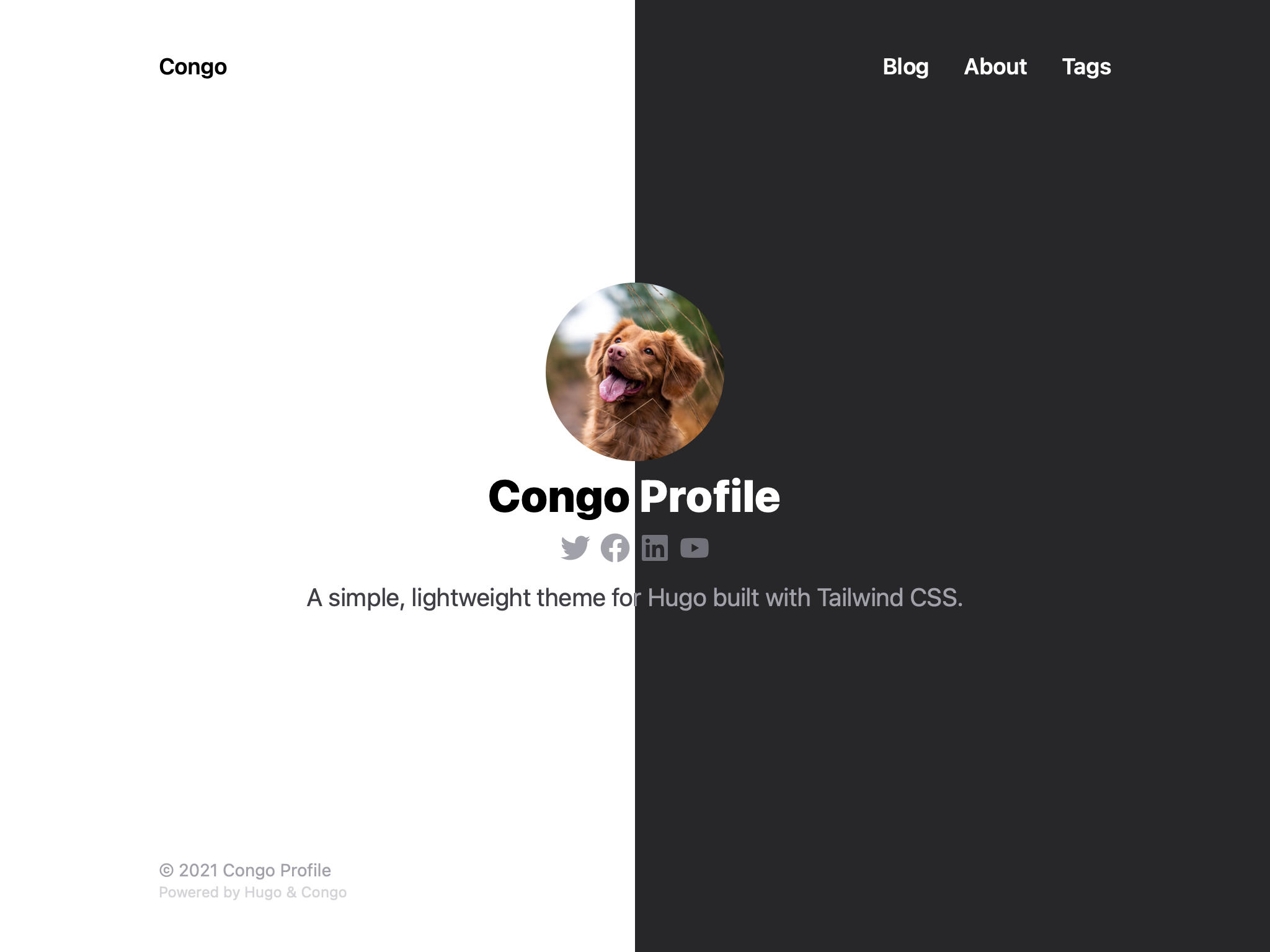 Screenshot of profile layout